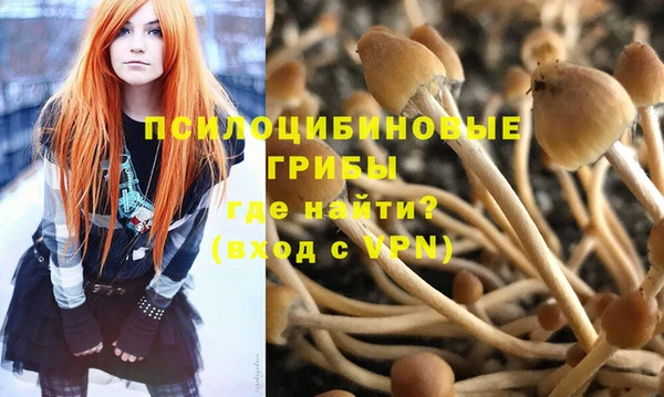 ешки Няндома