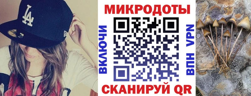 hydra рабочий сайт где купить наркоту Заполярный Псилоцибиновые грибы MAGIC MUSHROOMS